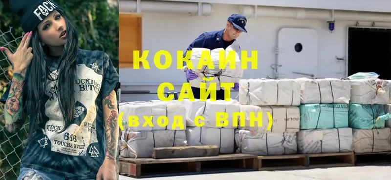 купить закладку  Камышин  Cocaine Эквадор 